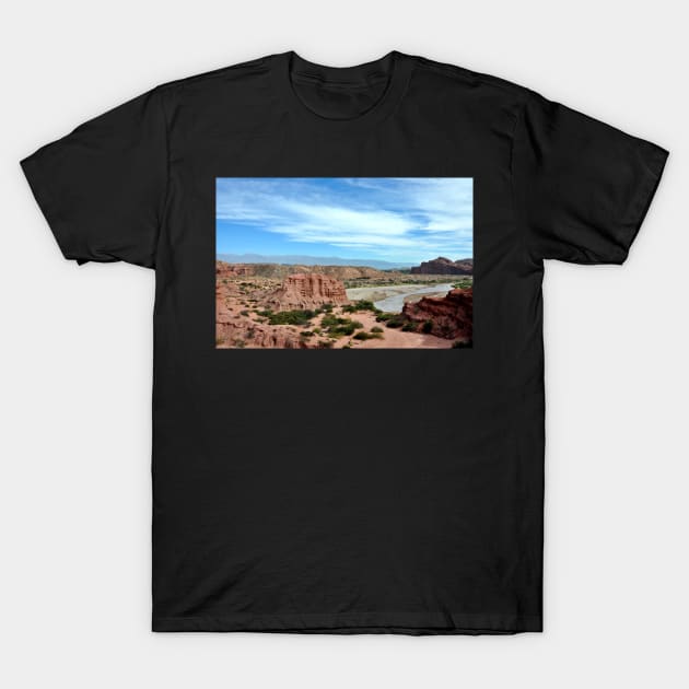 Argentine - Quebrada de las Conchas T-Shirt by franck380